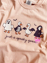 Load image into Gallery viewer, JUST A SPOOKY GOOSE TEE