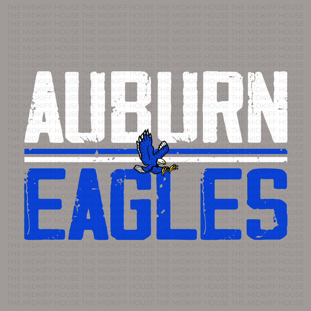 AUBURN EAGLES RETRO BLOCK TEE