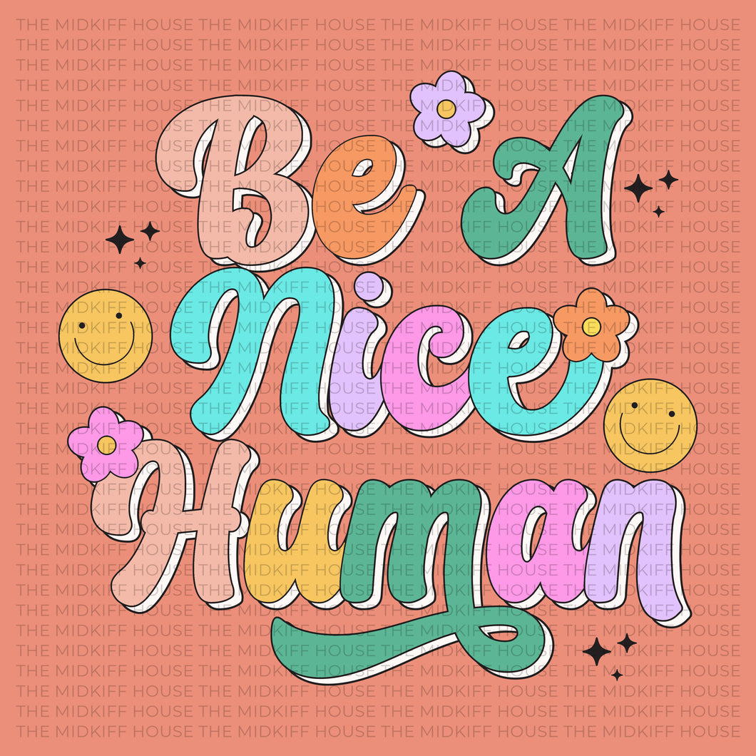 BE A NICE HUMAN TEE