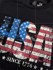 USA SINCE 1776 TEE