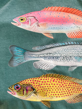 Load image into Gallery viewer, TRENDY FISH TEE
