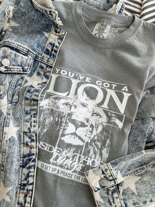 LION INSIDE GRAY