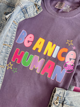 Load image into Gallery viewer, BE A NICE HUMAN TEE
