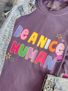 BE A NICE HUMAN TEE