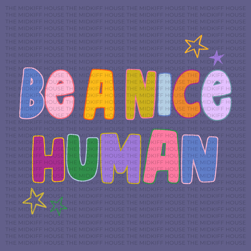 BE A NICE HUMAN TEE