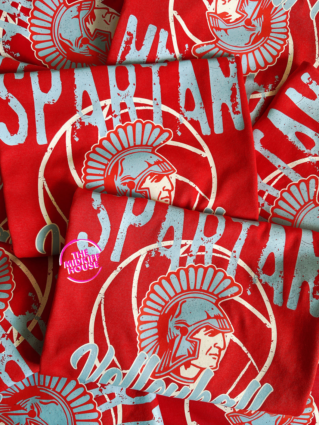 SPARTAN VOLLEYBALL VINTAGE STAMP TEE